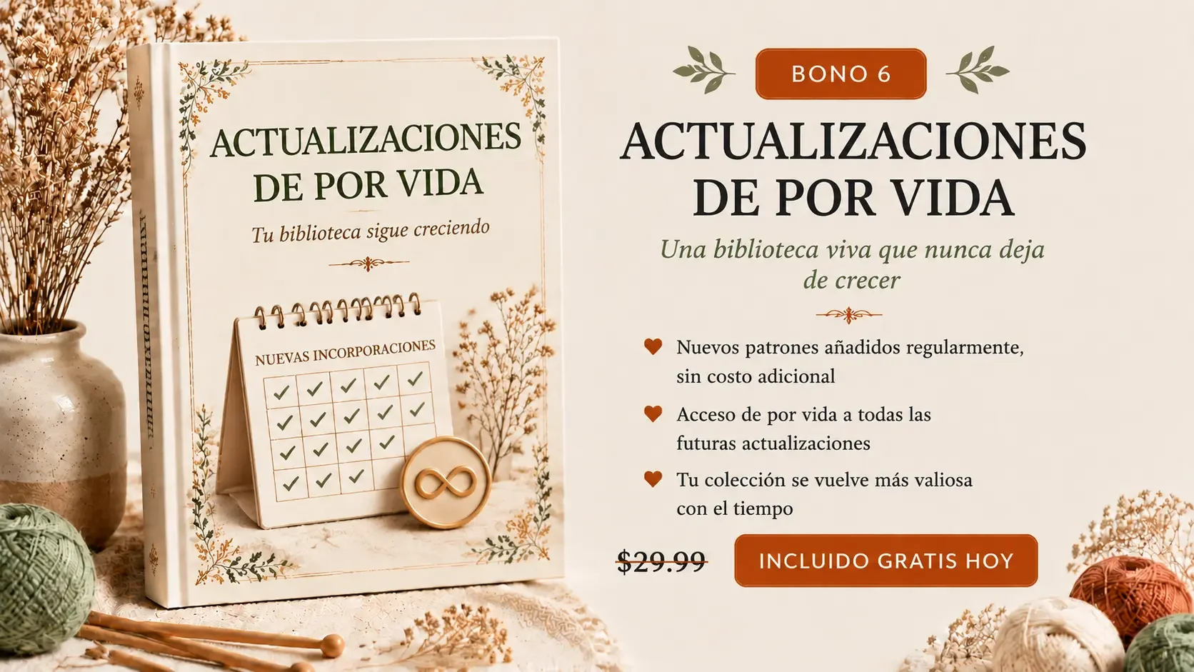 Bonus 6: Actualizaciones de por vida
